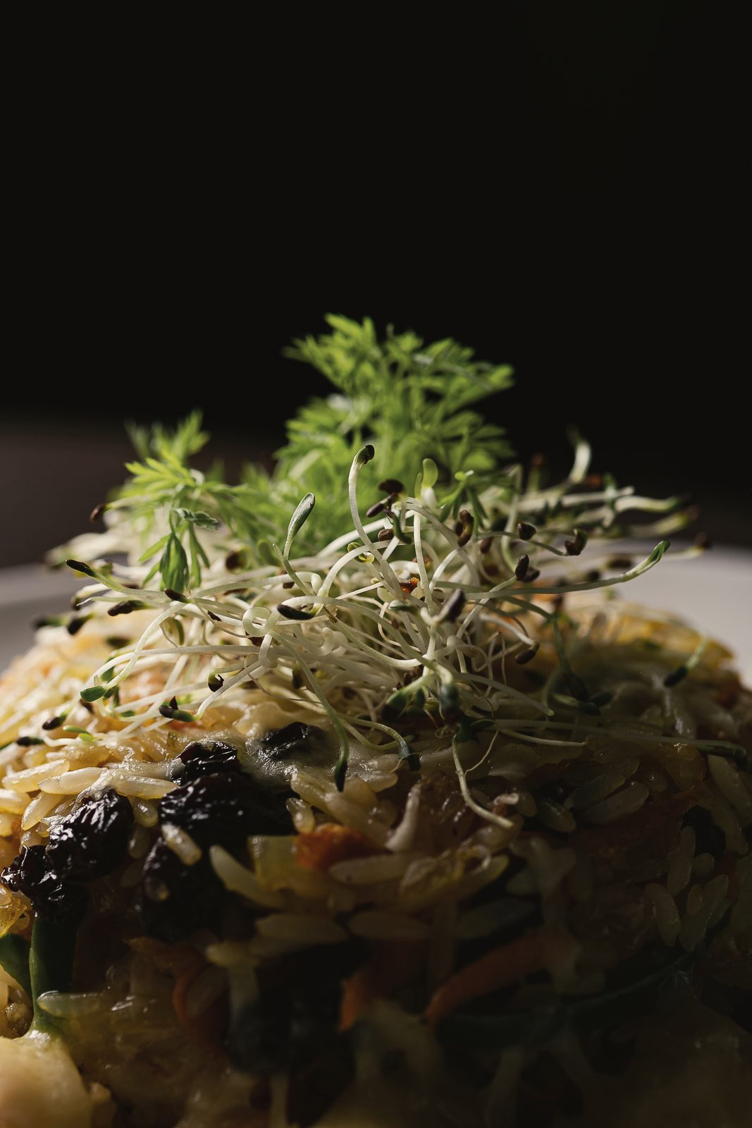 Risoto com brotos